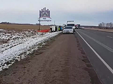 Россияне устроили набег за выпавшими из фуры мандаринами