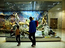 Более 5 тысяч жителей столицы поучаствовали в акции бесплатных экскурсий