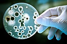 Microbiology: хлорка больше не способна убивать бактерии