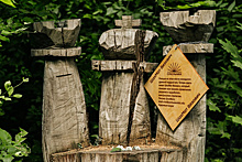 В парке «Сокольники» обновили таблички на «говорящих» деревьях