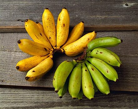 Мини-бананы: чем уникален этот сорт бананов