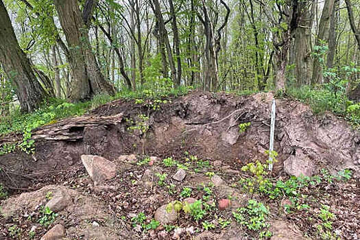 Под Калининградом неизвестные повредили курганный могильник VII-IV веков до н.э.