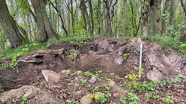 Под Калининградом неизвестные повредили курганный могильник VII-IV веков до н.э.