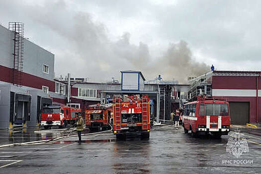 МЧС: в здании пельменного цеха в Тольятти возник пожар на площади 500 кв. м