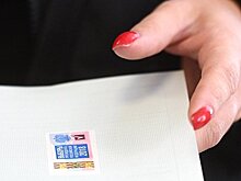 Губернатор Владимирской области проголосовала вместе с замминистра спорта