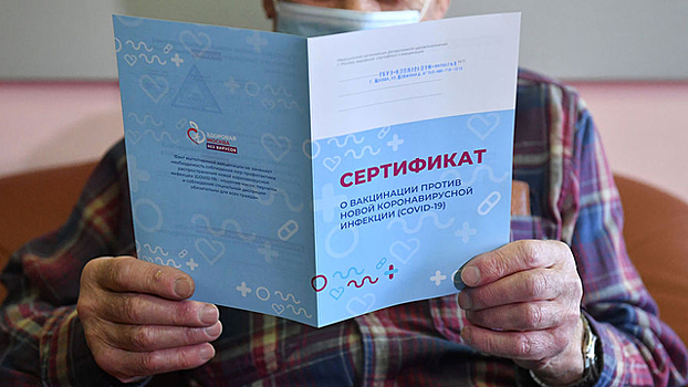 СКР: В Калининградской больнице №4 группа медиков участвовала в выдаче поддельных сертификатов о прохождении вакцинации