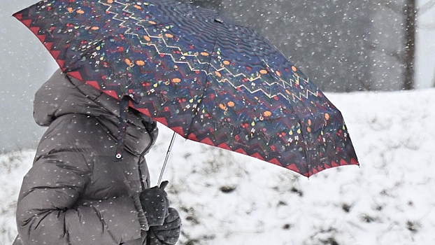 Вильфанд рассказал, когда в Москве образуется снежный покров