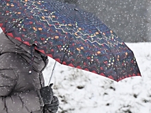 Вильфанд рассказал, когда в Москве образуется снежный покров