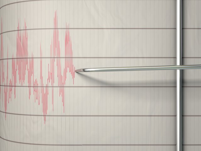 Три землетрясения магнитудой от 4,1 до 5 произошли на Камчатке