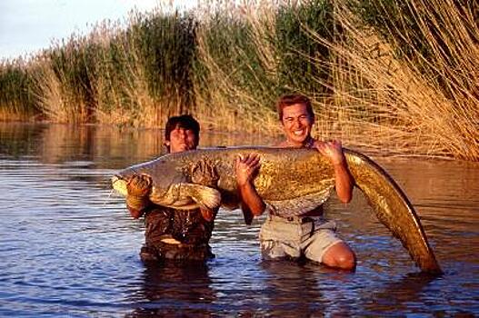 Стало известно, сколько рыбы выловили в Казахстане в 2020 году