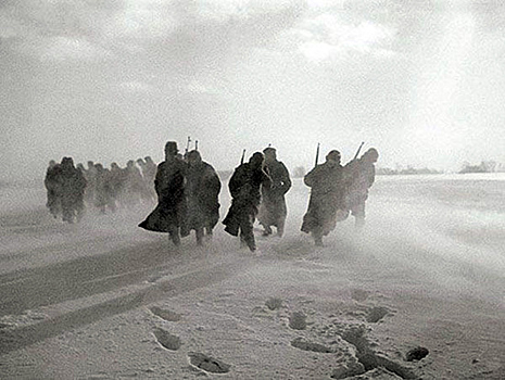 Холода в Костроме повторяют заморозки 1945 года