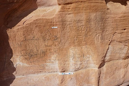 Найденный в Египте наскальный рисунок ужаснул ученых