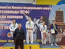 Волгоградские тхэквондисты удачно выступили на соревнованиях в Элисте