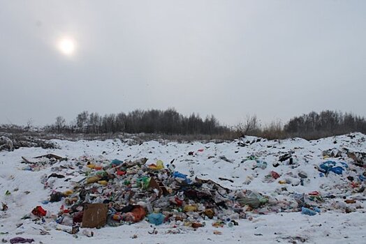 Более миллиона рублей заплатят организаторы свалки в Домодедово