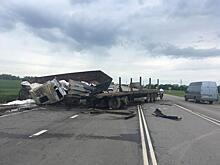 Люди сгорели заживо: два большегруза столкнулись в Ростовской области