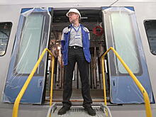 Поезд мчится быстрой птицей. Обновленная «Иволга» выйдет на маршруты МЦД уже в ноябре этого года