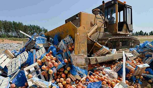90 тонн санкционных продуктов отправили под гусеницы бульдозеров