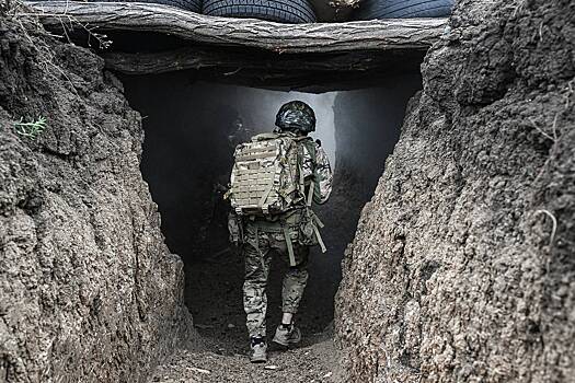 В Узбекистане осудили участника СВО