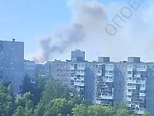 Крупный лесной пожар случился под Дзержинском