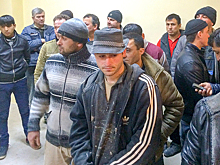 Гастарбайтеров собираются сосчитать, выучить и вылечить