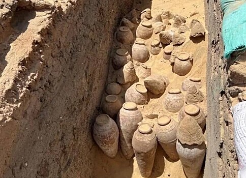 Археологи нашли в Египте сотни кувшинов с вином, которому 5000 лет