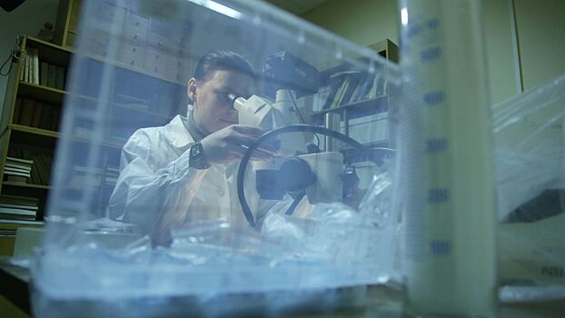 Создана иммунотерапия, способная уничтожать агрессивные формы рака почки