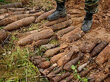 Более сотни боеприпасов времен ВОВ обнаружено в садовом товариществе в Севастополе