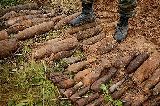 Более сотни боеприпасов времен ВОВ обнаружено в садовом товариществе в Севастополе