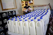 Россия запретила поставки молочной продукции из Киргизии