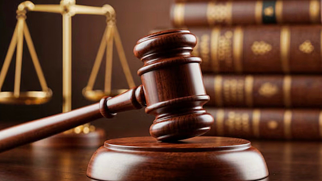 В сети распространили шокирующее видео с массовым захоронением в Прокопьевске