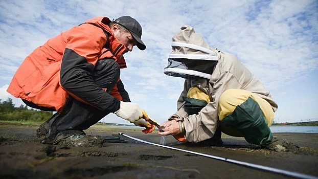 Ученые из Норильска и Китая совместно исследуют климат на Таймыре