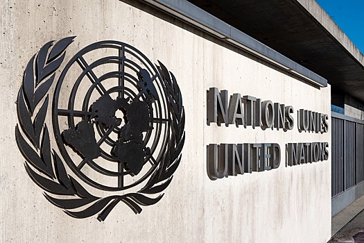 В ООН переданы свидетельства зверств киевского режима в Покровске