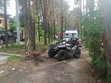 В Перми трое подростков врезались на квадроцикле в дерево