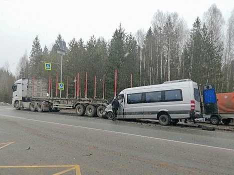 Автобус с детской хоккейной командой врезался в лесовоз в Пермском крае
