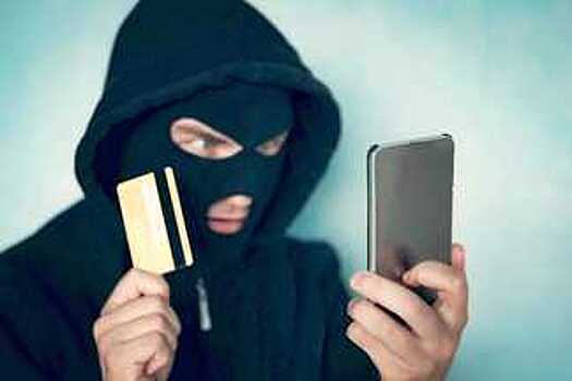 Псевдопутевки на отдых обошлись вологжанам в 80 тыс рублей