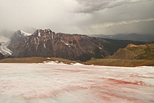 Ледник на Алтае покраснел из-за цветения водорослей