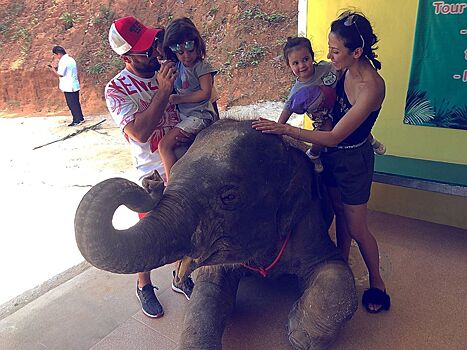 Маленькие дочери резидента Comedy Club Демиса Карибидиса побывали в тактильном зоопарке Таиланда