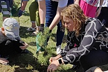 В Иркутске выпускники школы и детсада посадили деревья на общей аллее, мероприятие проходит 8-й год подряд
