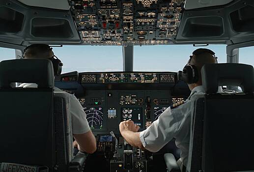 Врезавшаяся в пассажирский самолет птица сорвала рейс в Европе