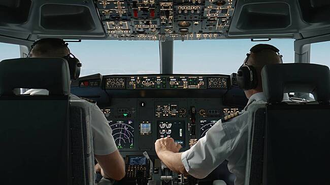 Врезавшаяся в пассажирский самолет птица сорвала рейс в Европе