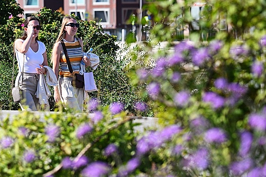 Гидрометцентр: Теплая погода продержится до середины сентября