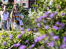 Гидрометцентр: Теплая погода продержится до середины сентября