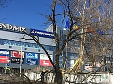 На пожилую курянку рухнул 6-метровый тополь, который спилили рабочие