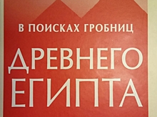 О «египетской» новинке на российском рынке