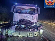 В Нижнекамском районе Татарстана в результате ДТП погибли три человека