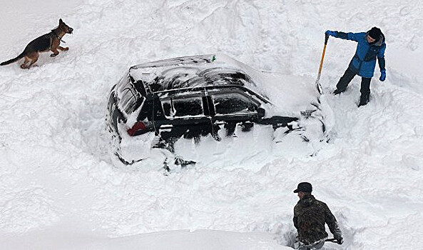 «Лучше не трогать»: как не испортить авто при очистке от снега