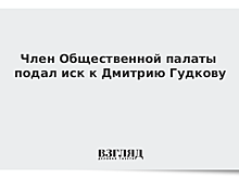 Член Общественной палаты подал иск к Дмитрию Гудкову