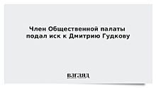 Член Общественной палаты подал иск к Дмитрию Гудкову