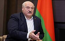 На Украине завели дело против взявшей интервью у Лукашенко журналистки