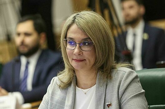 Сенатор рассказала, как повысить привлекательность малых городов для россиян